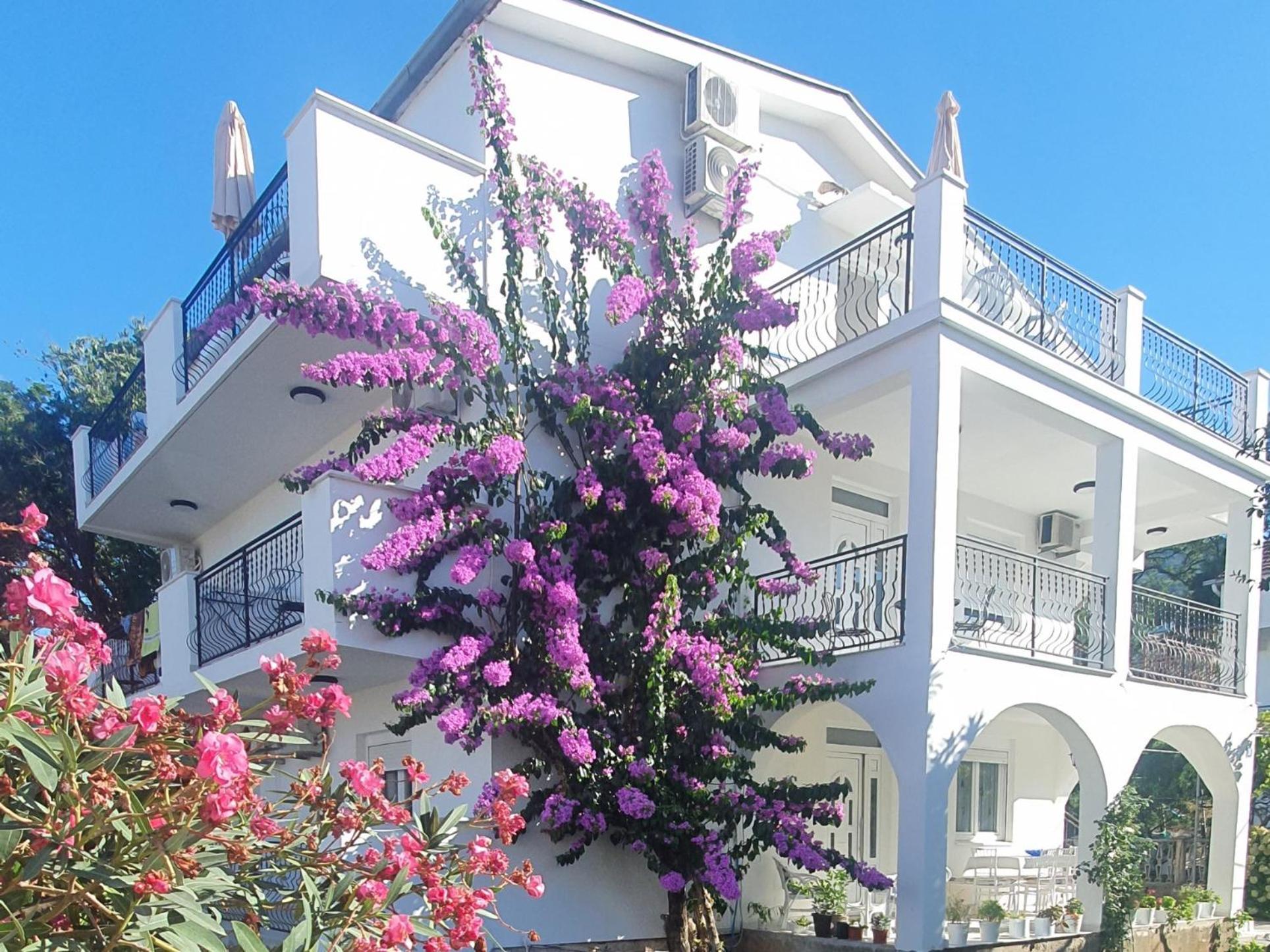 Prova **** Apartment